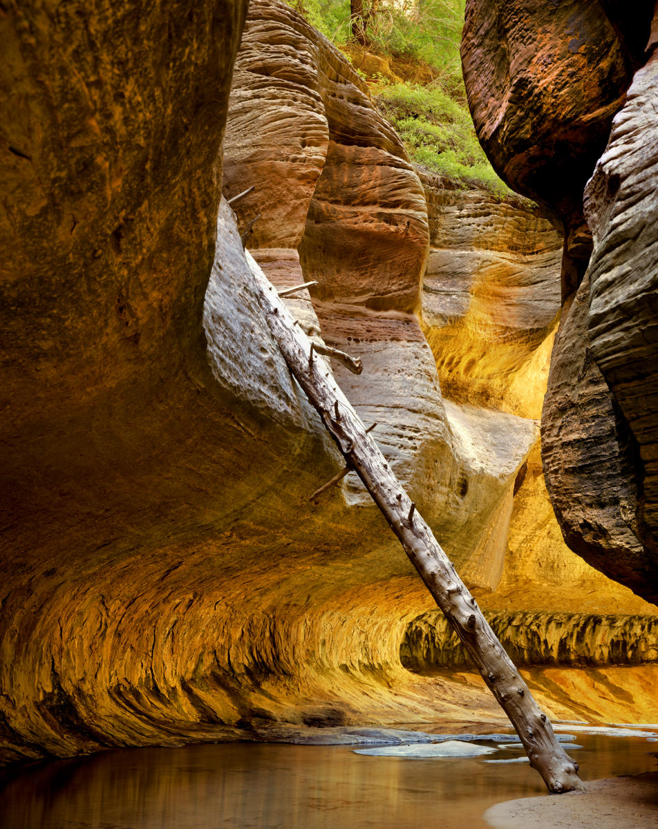 'Sacred Canyon' Zion National Park, Utah