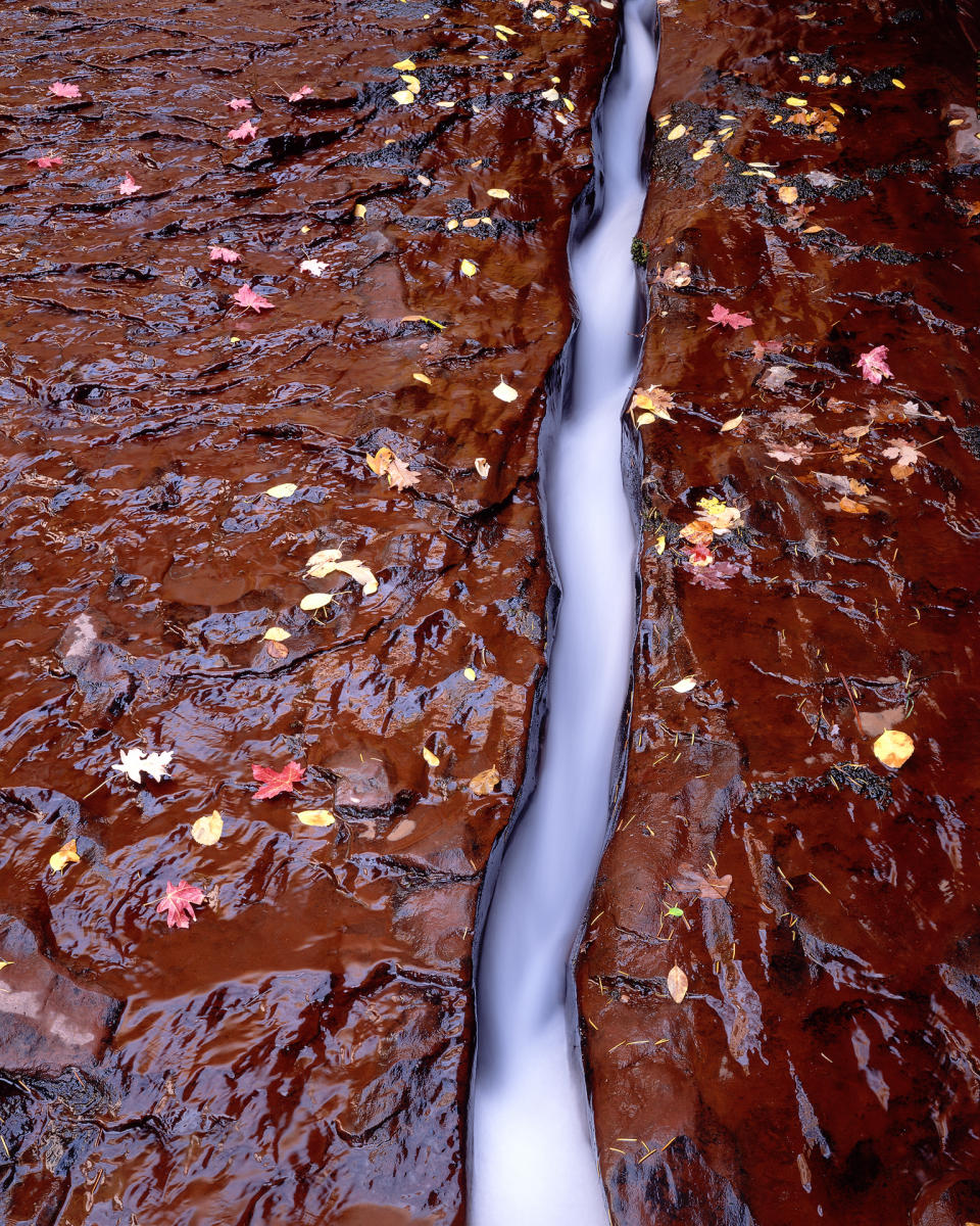 'North Creek' Zion National Park, Utah