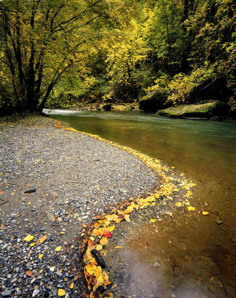 'Natures Design' American Fork Creek, Utah