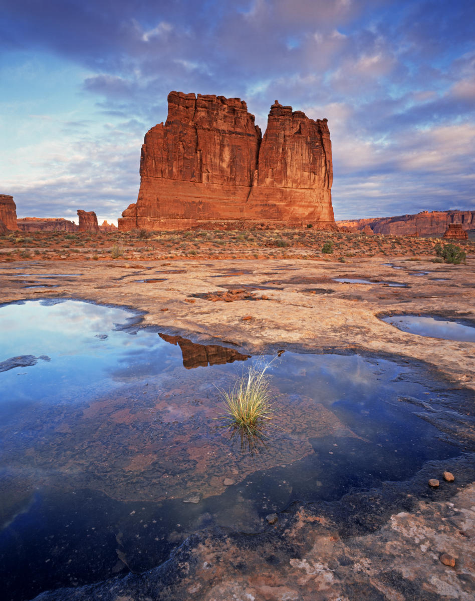 'The Organ' Arches National Park, Utah