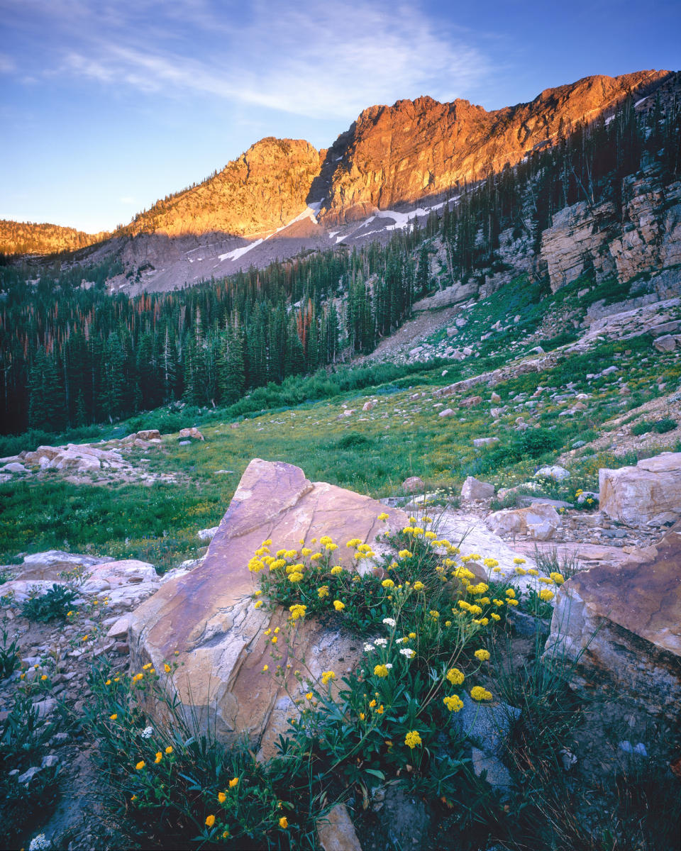 'Devils Castle' Albion Basin, Utah