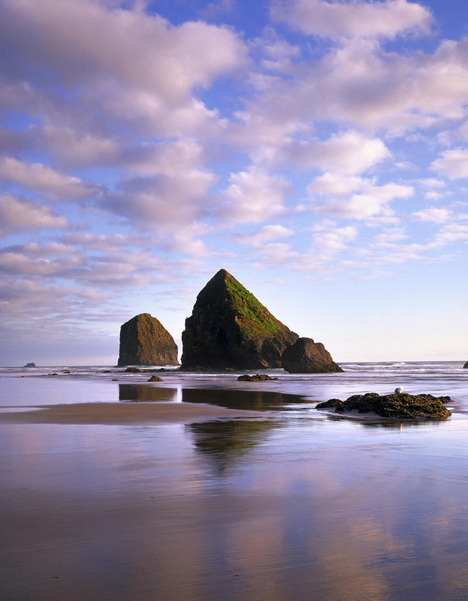 'Beach Reflection' Oregon Coast, Oregon