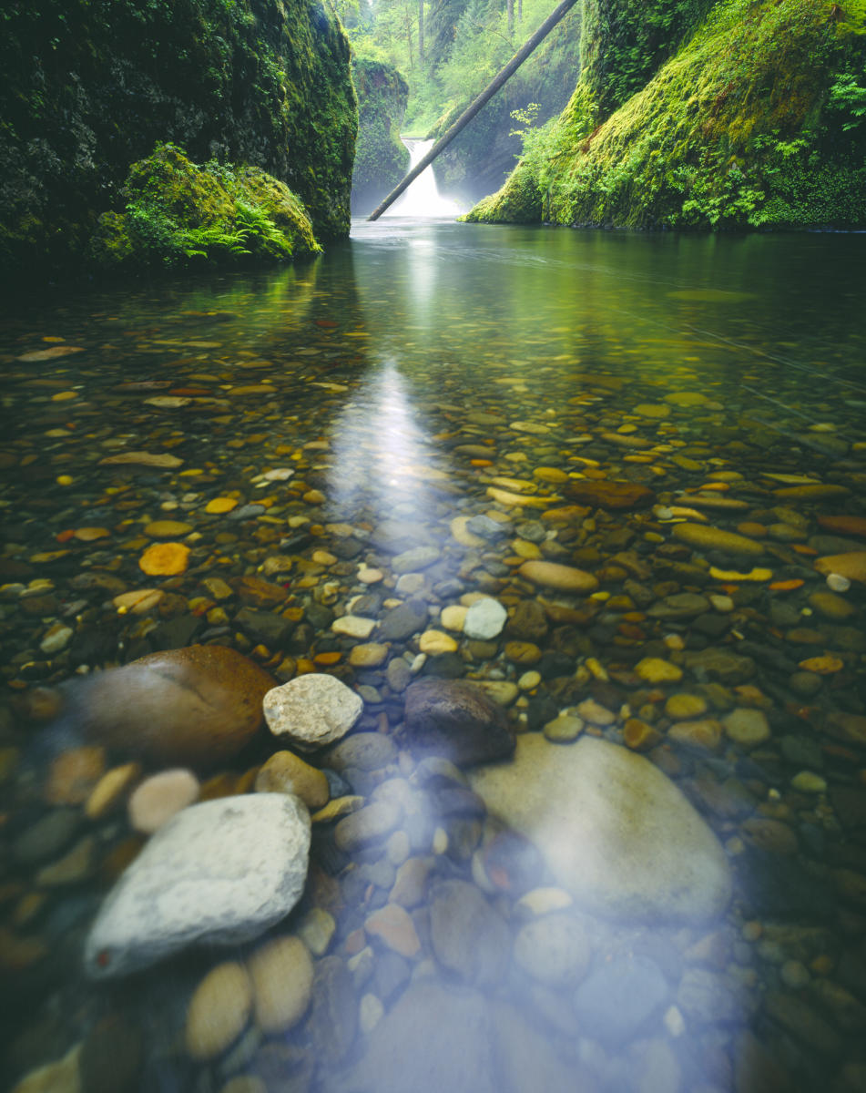 'Punchbowl Falls' Columbia River Gorge, Oregon