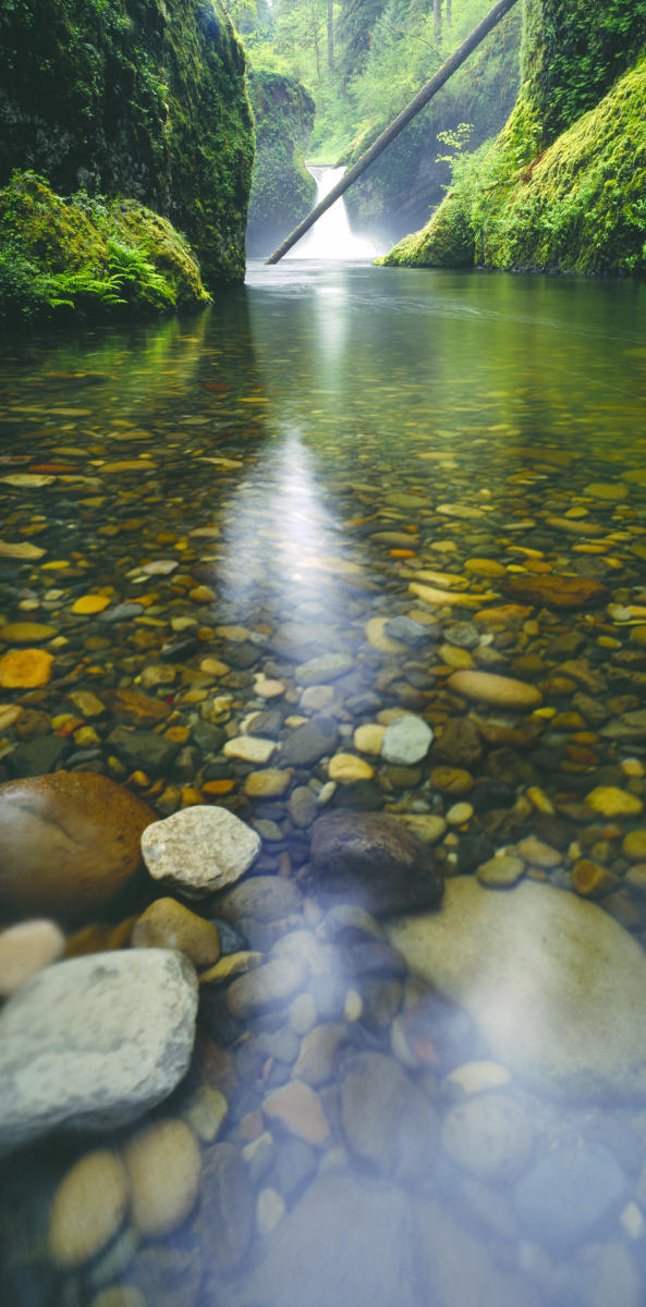 'Punchbowl Falls'-P Columbia River Gorge, Oregon