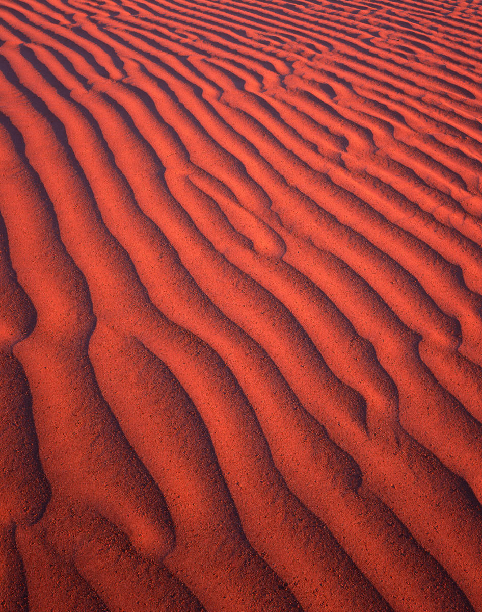 'Sand Art' Little Sahara Recreation Area, Utah