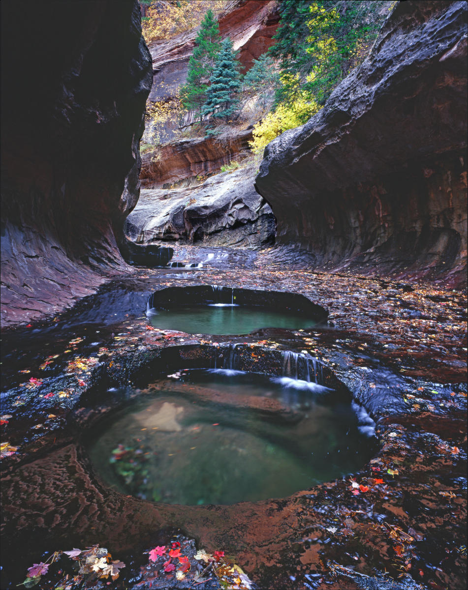 'Autumn Pools' Zion National Park, Utah