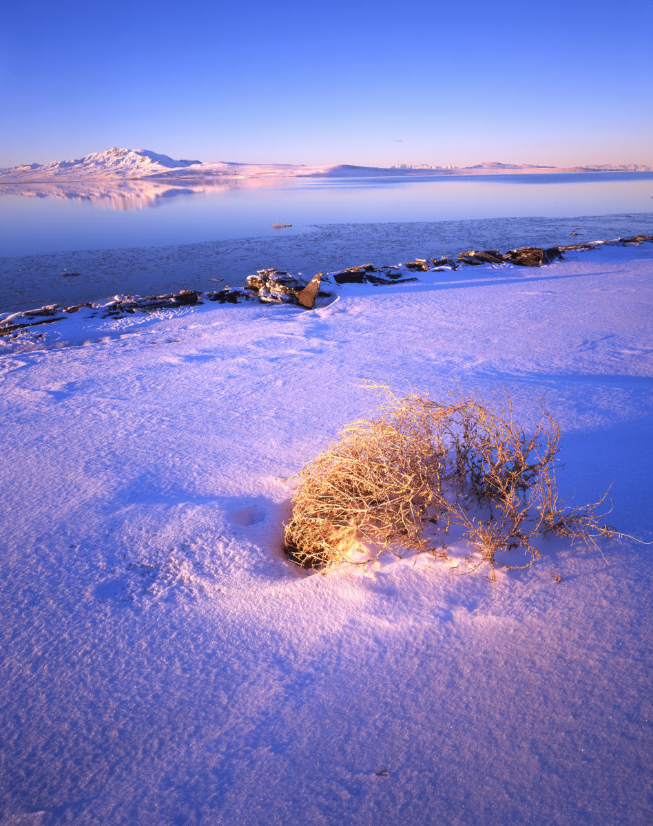 'Antelope Island' Great Salt Lake, Utah