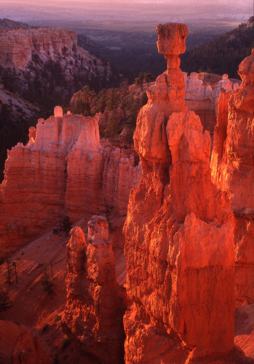 'Bryce Canyon' Bryce Canyon National Park, Utah