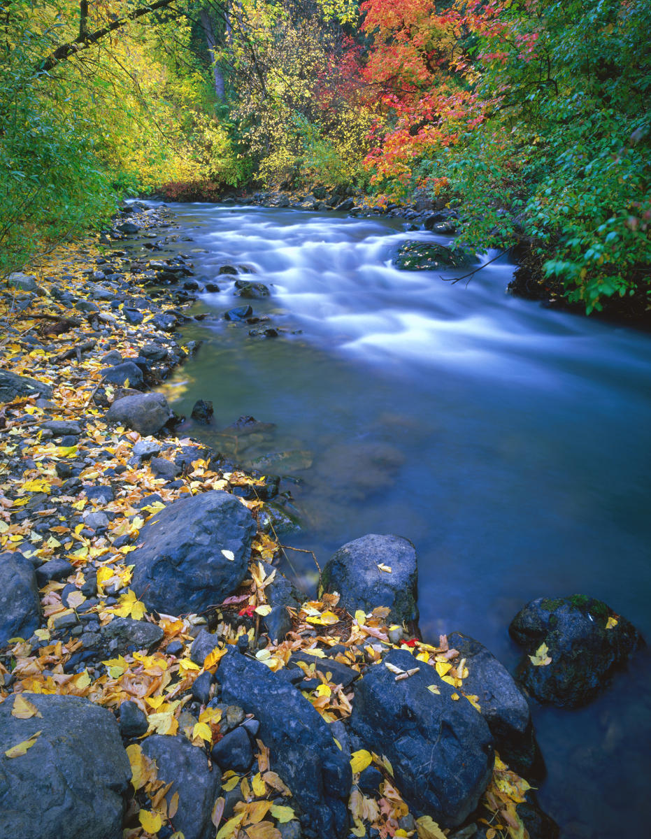 'Autumns Beginning' American Fork Creek, Utah