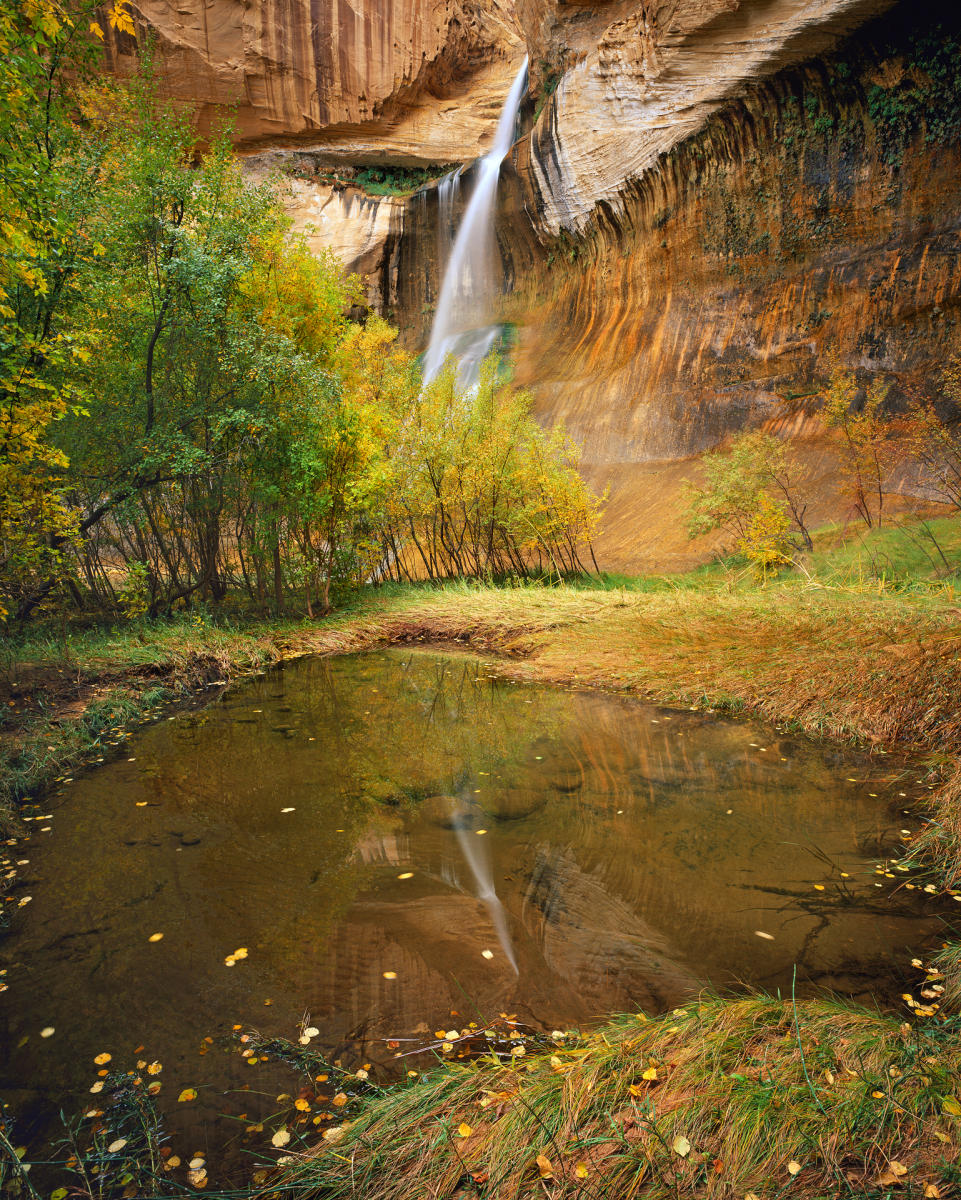 'Calf Creek Reflection' Grand Staircase Escalante National Monument, Utah