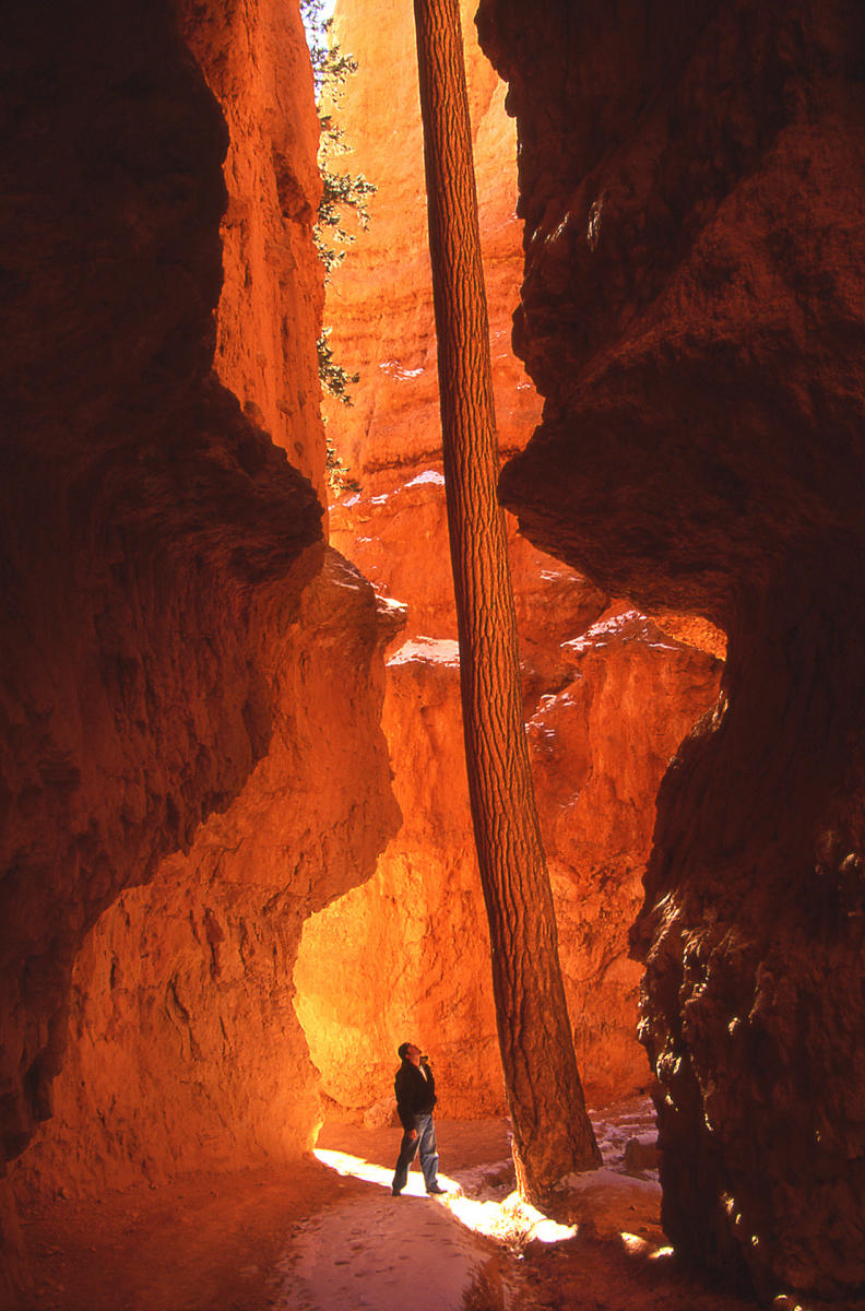 'Defiance' Bryce Canyon National Park, Utah