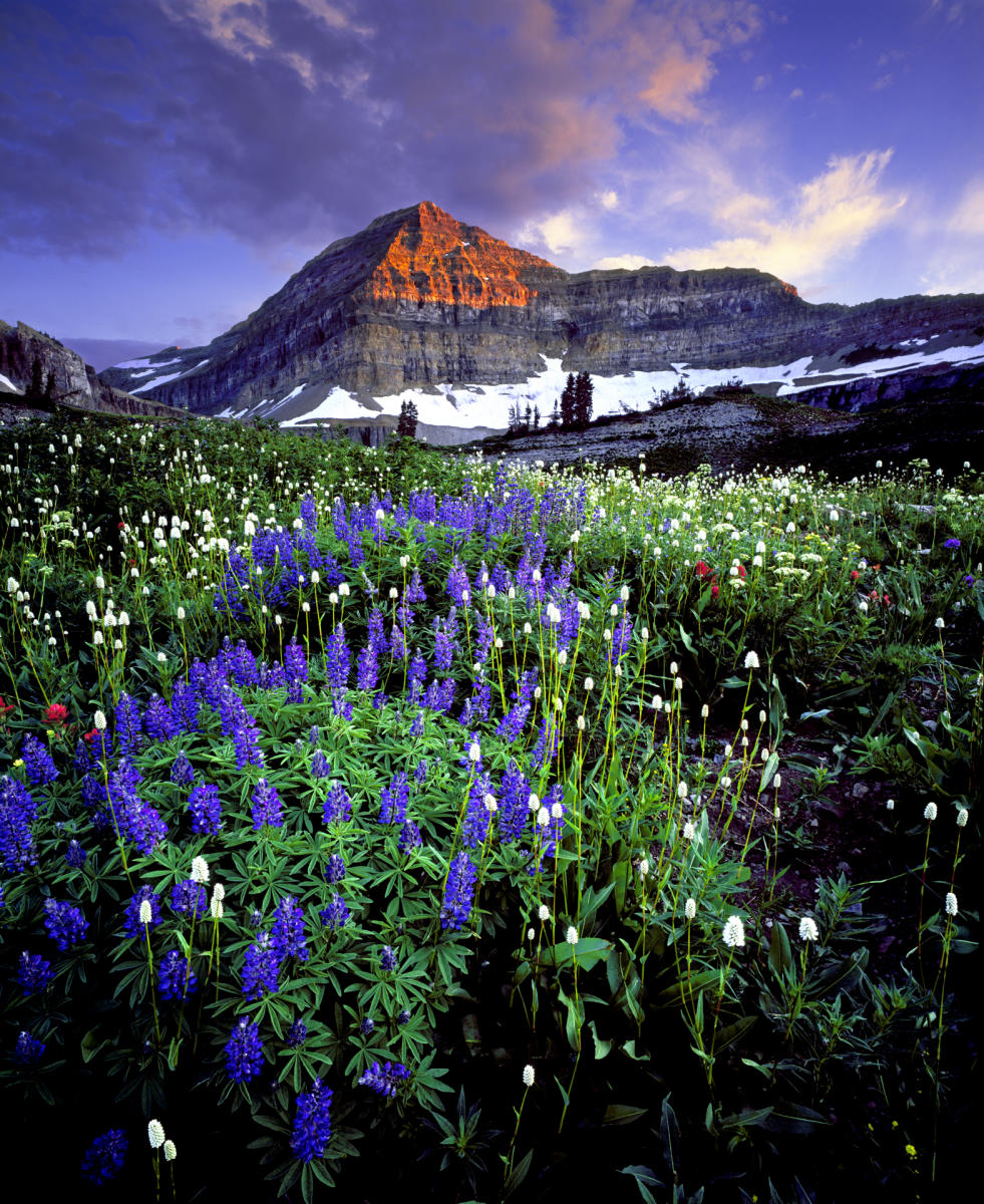 'Inspired' Mt Timpanogos Wilderness, Utah
