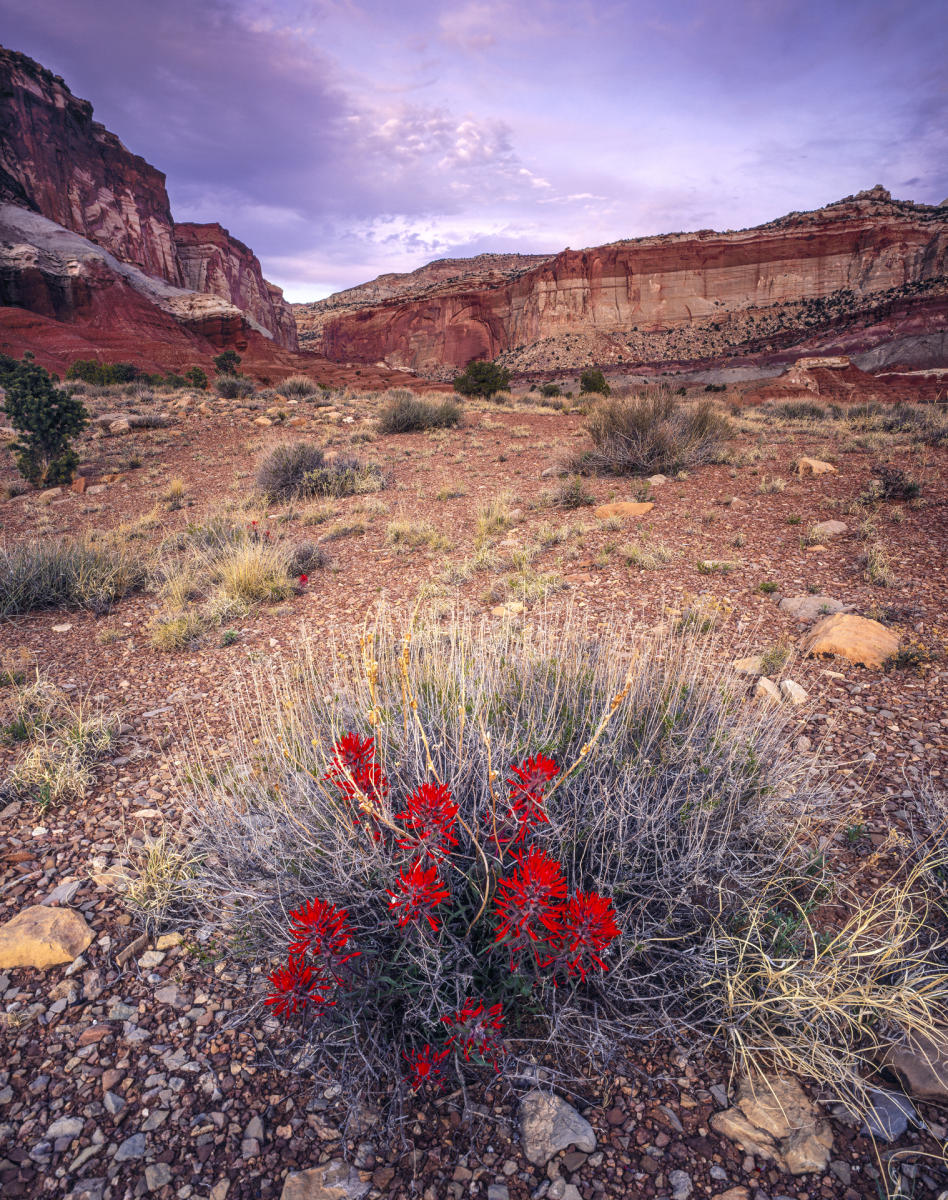 'Grand Wash' Capitol Reef National Park, Utah
