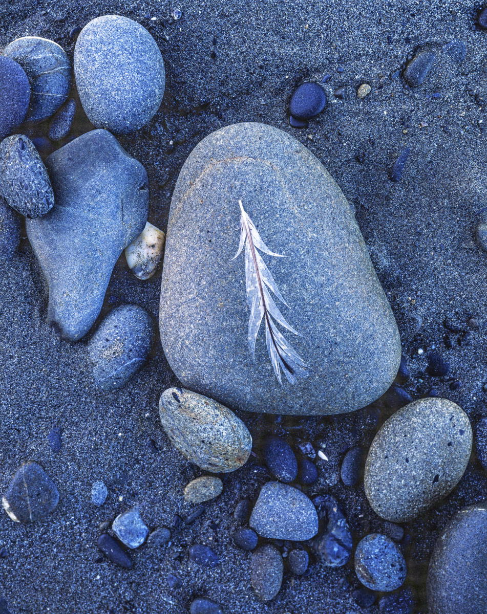 'Feather' 