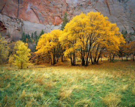 Kolob Canyon, Zion National Park, Utah