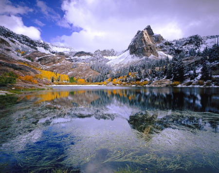 'Autumn at Sundial' Twin Peaks Wilderness, Utah