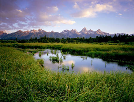 'Blacktail Ponds' Grand Teton National Park, Wyoming