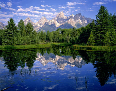 'Beaver Pond' Grand Teton National Park, Wyoming