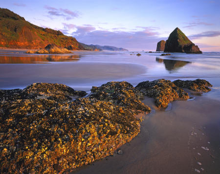 'Cannon Beach' Oregon Coast, Oregon