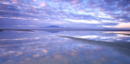 'Two Skies-P' Antelope Island, Great Salt Lake, Utah