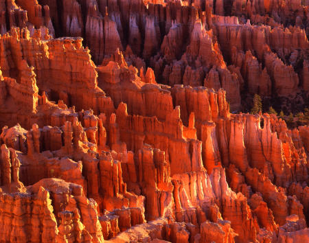 'Inspiration Point' Bryce Canyon National Park, Utah