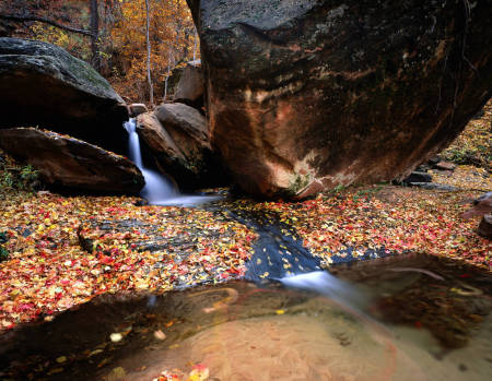 'Hidden Spring' Zion National Park, Utah