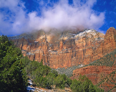 'Zion' Zion National Park, Utah