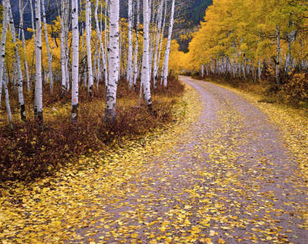 'Wasatch-Cache' Uinta Mountains, Utah