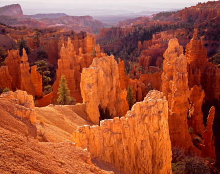 'Fairyland Glow' Bryce Canyon National Park, Utah